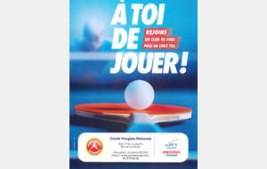 A toi de JOUER.....au PING....au CPMehunois